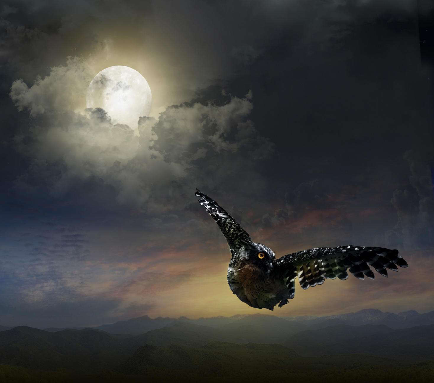 Vollmond Englisch Vollmond Englisch