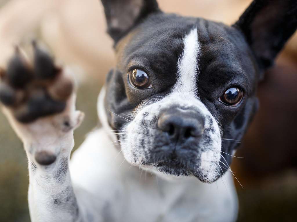 Gehören Sie zum Glückskind der Woche? | Foto: © iStockphoto.com/Capuski Gehören Sie zum Glückskind der Woche? | Foto: © iStockphoto.com/Capuski