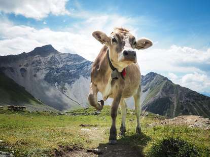 Zwei sehr starke und auch positive Transite werden heute wirksam | Foto: © nivoa / photocase.de Zwei sehr starke und auch positive Transite werden heute wirksam | Foto: © nivoa / photocase.de