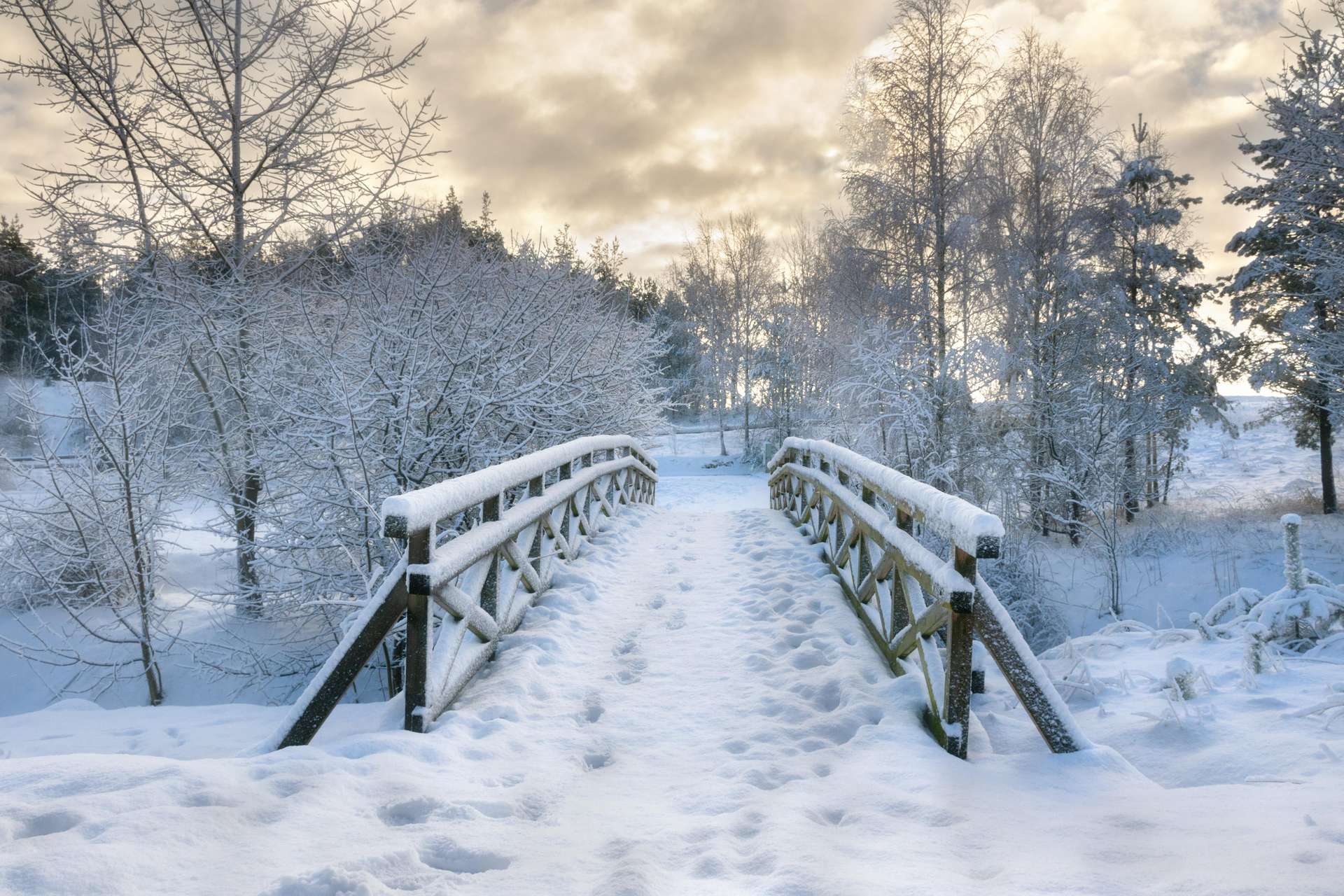 природа зима мост деревья скачать