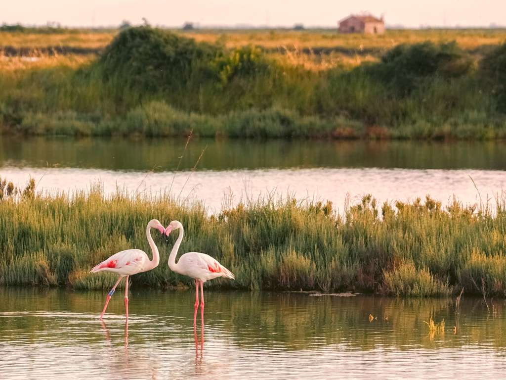 Monatshoroskop Wassermann März 2019 Foto (c): francesco78 - stock.adobe.com Monatshoroskop Wassermann März 2019 Foto (c): francesco78 - stock.adobe.com