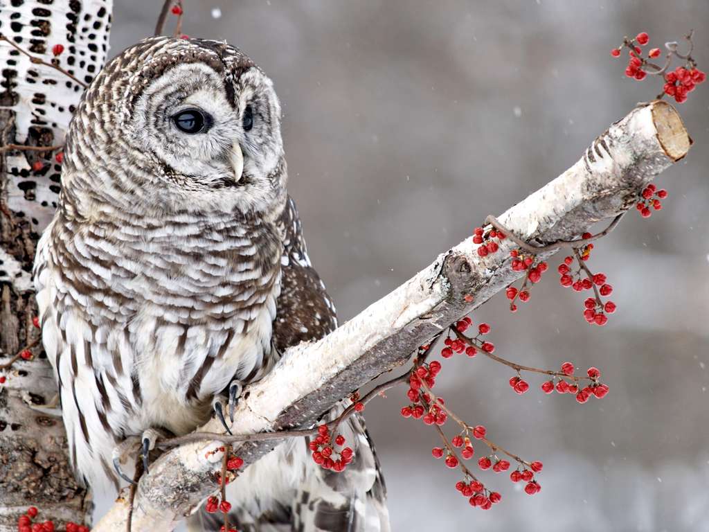Tageshoroskop 21.11.2019 | Foto: © iStockphoto.com/summersetretrievers Tageshoroskop 21.11.2019 | Foto: © iStockphoto.com/summersetretrievers