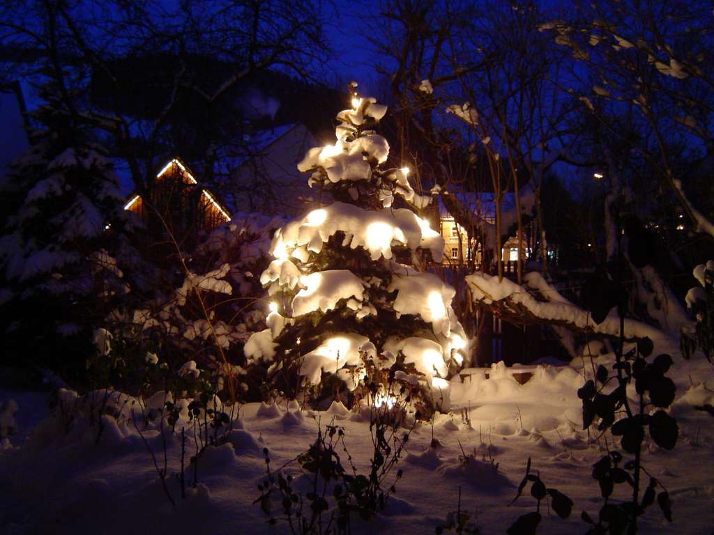 Foto: (c) kai-creativ - Fotolia.com Foto: (c) kai-creativ - Fotolia.com