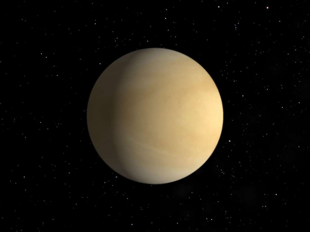 Die Venus | Foto: © NJ - stock.adobe.com Die Venus | Foto: © NJ - stock.adobe.com