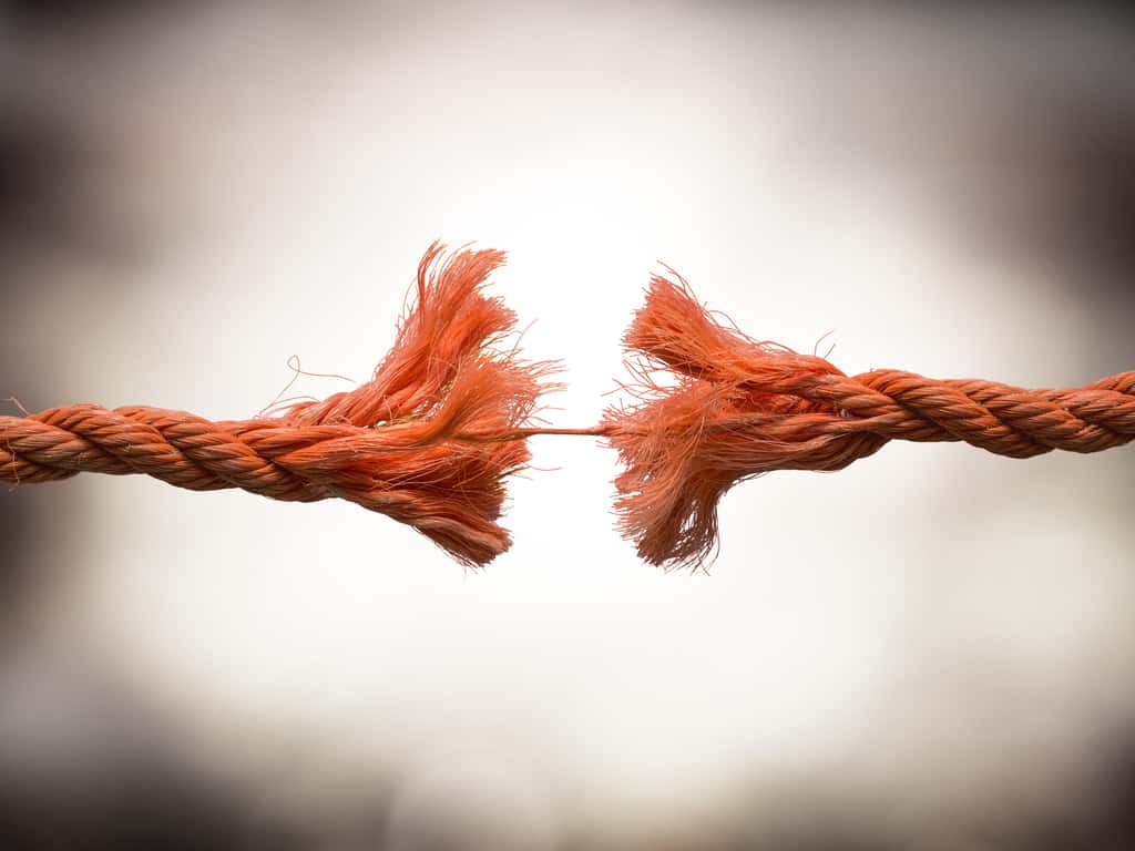 © Romolo Tavani - Fotolia.com © Romolo Tavani - Fotolia.com