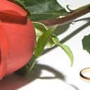 Kommt ein Heiratsantrag? Kommt ein Heiratsantrag?